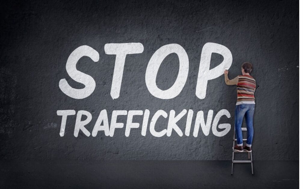 Manufacturing and Trafficking