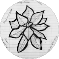 Joshua Silva Avatar