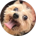 Angie Zinke Avatar